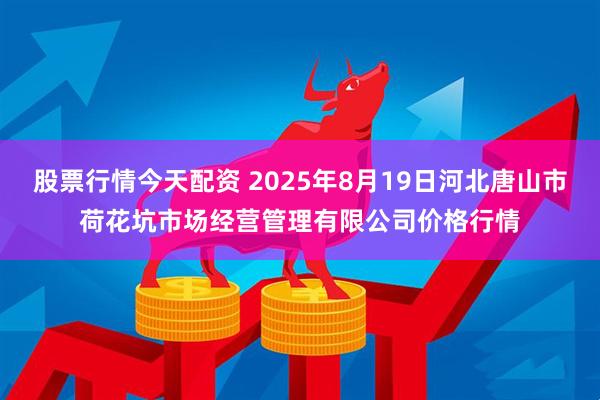 股票行情今天配资 2025年8月19日河北唐山市荷花坑市场经营管理有限公司价格行情