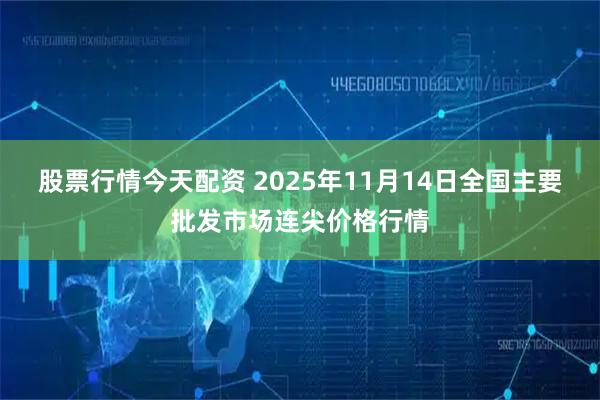 股票行情今天配资 2025年11月14日全国主要批发市场连尖价格行情